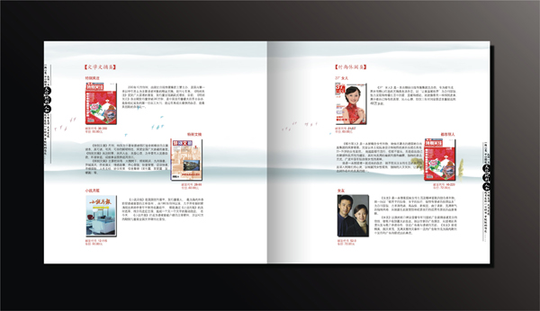 政府企業(yè)畫冊宣傳設計