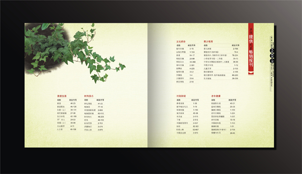 政府企業(yè)畫冊宣傳設計