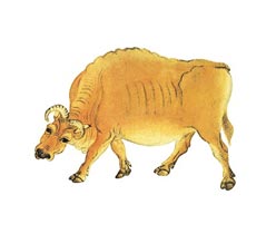 展覽廣告設(shè)計(jì),品牌宣傳